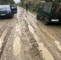 Caz de transportare ilegală a masei lemnoase documentat în zona de frontieră la Cahul