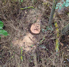 IMG-aa273fbae0f08f8f140808bf9af20730-V