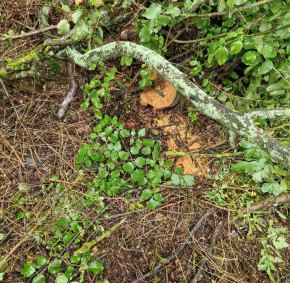 IMG-6853ee123372fd68ff11acc6c8a9641b-V