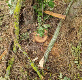 IMG-b8e2aae8001f9f692bedfedcbdb5f78c-V