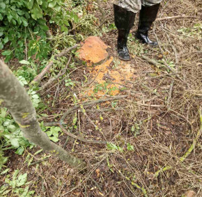 IMG-1bb4b7b7b0beb8ea6fb641c4234b3984-V