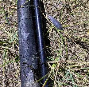 0-02-05-d8a2458938f007a78575260e97b1658b5348a56c7a9bf5f5e5a6ea0ef9619e39_65fd9b92b0bd2bb8