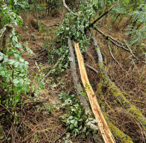 IMG-bd057679d2889ca8714716bd1bc2bd48-V