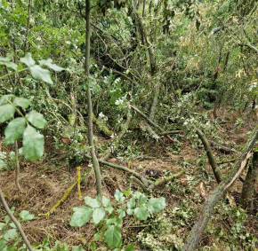 IMG-923b76d5eed3901c2c0026f20ae7f403-V