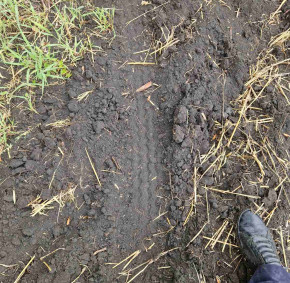 IMG-2c9c0a800b1b9cbafebfcc7714d83c3e-V