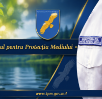 Sinteza săptămânii la Inspectoratul pentru Protecția Mediului