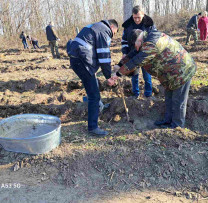 Programul Național de Extindere și Reabilitare a Pădurilor la Edineț