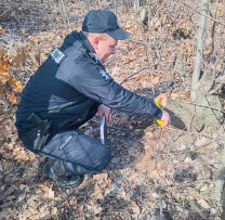 Operațiuni ale inspectorilor de mediu dezvăluie cazuri grave de încălcări în Republica Moldova