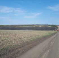 Incendii misterioase pe câmpurile din Dondușeni: Autorii rămân necunoscuți