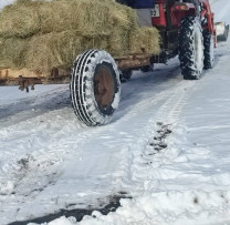 Eforturi Concertate pentru Salvarea Faunei Sălbatice în Sîngerei: Colaborare Între Inspectorii de Mediu și Vânătorii Locali