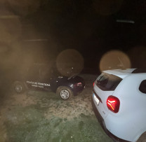 Transport ilegal de masă lemnoasă descoperit în zona de frontieră din Cahul