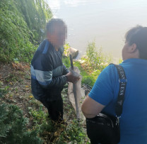 Depistarea Gunoieștilor Ilegale și Pescuitului Ilegal în Raionul Briceni