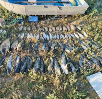 Braconaj piscicol de proporții pe Nistru: peste 55 kg de pește capturat ilegal și un prejudiciu de 372 500 lei