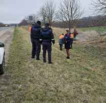 Acțiuni de prevenire a incendiilor și protejare a mediului în Bălți: Persoane fizice și juridice informate despre interzicerea arderii resturilor vegetale