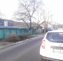 Incident ecologic în Sadova: Tăiere ilegală a arborilor în lipsa autorizației