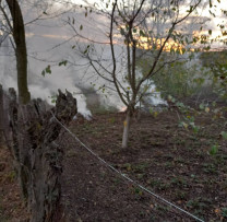 Incidentele de Ardere a Biodeseurilor Ridică Semnale de Alarmă în Limbenii Noi, Fundurii Noi, raionul Glodeni