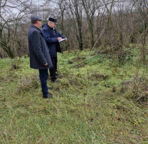 Inspectorii de mediu din Edineț depistează tăieri ilegale de arbori