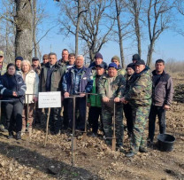 Programul Național de Extindere și Reabilitare a Pădurilor la Șoldănești