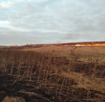 Incendiere ilegală a vegetației uscate, depistată de inspectorii de mediu din Rîșcani