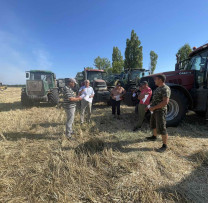 Inspectorii de Mediu din Șoldănești Lansează o Campanie de Informare și Prevenire a Arderii Miriștii și Combaterea Ambroziei