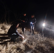 Razii nocturne la Bălți: mai multe încălcări ale legislației de mediu, sancționate de inspectori