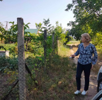 Razii în Strășeni pentru Combaterea Răspândirii Ambroziei