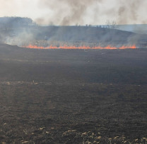Razia inspectorilor de mediu din Rîșcani pentru prevenirea incendiilor de vegetație
