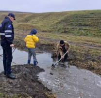 Îndiguire neautorizată pe râul Draghiște, lichidată de inspectorii de mediu din Edineț