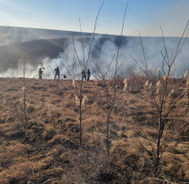 Tăieri ilegale și incendiu în fondul forestier din Dondușeni