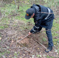 Acțiune Determinată a Inspectorilor de Mediu din Fălești pentru Protejarea Fondului Forestier