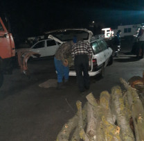 Operațiune de Combatere a Defrișărilor Ilegale în Extravilanul Satului Copăceni desfășurate de inspectorii de mediu din Sîngerei