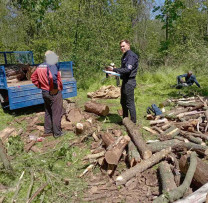 Tăiere ilegală de arbori la Răuțel: Doi contravenienți amendați de inspectorii de mediu