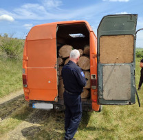 Inspectorii de Mediu din Drochia Depistează Transporturi Ilegale de Lemn