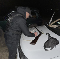 Cazuri de posesie ilegală de armă și tăieri ilegale de arbori, descoperite de inspectorii de mediu