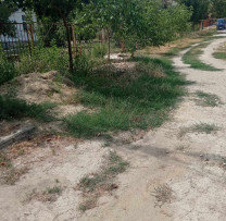 INSPECTORII DE MEDIU DIN CRIULENI LANSEAZĂ CAMPANIA DE PREVENIRE A ARDERII MIRIȘTII