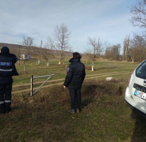 Raid de control al inspectorilor de mediu din Taraclia: Amenzi pentru vânătorii ilegali și pășunatul ilegal de animale