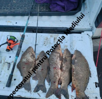 Nouă cazuri de braconaj piscicol depistate pe Nistru: amenzi și prejudicii de peste 36 000 lei