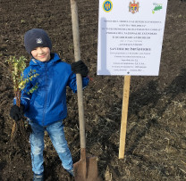 PLANTĂM PENTRU ȚARĂ, PLANTĂM PENTRU VIITOR