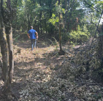 Inspectorii de Mediu din Strășeni Descoperă Tăieri Ilicită de Arbori și Incendiere de Vegetație