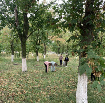 startul campanii de toamnă dedicată salubrizării și amenajării localităților