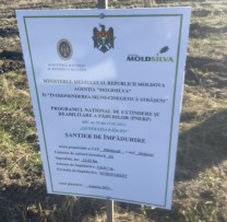 O acțiune pentru protejarea mediului în Strășeni: Plantarea a 5 hectare în Pănăsești