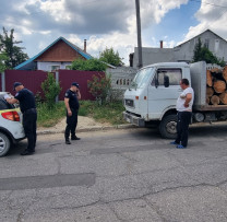 Inspectorii de mediu și polițiștii se aliază împotriva tăierilor ilegale și neregulilor în industria lemnului din Ungheni