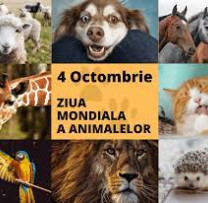 Ziua Mondială a Animalelor - Un Apel la Protejarea Drepturilor și Bunăstării Lor