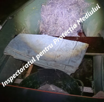 Rază nocturnă pe Nistru: inspectorii de mediu au ridicat plase ilegale de pescuit în zona Tarasova