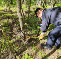 Verificări ale Inspectorilor de Mediu în Dondușeni: Tăieri Ilegale de Arbori Descoperite în Localitatea Țaul și Alte Zone