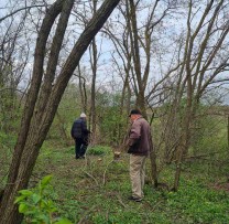 TĂIERILE ILEGALE DE ARBORI CONTINUĂ ÎN POFIDA CONDIȚIILOR METEOROLOGICE NEFAVORABILE
