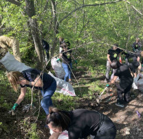 Pădure Curată