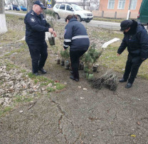 Inspectorii de mediu din Briceni se implică în acțiuni de împădurire în colaborare cu primăria Trebisăuti