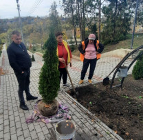 O Acțiune Plină de Speranță: "Un Arbore pentru Dăinuirea Noastră"