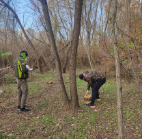 Inspectorii de mediu din Chișinău demarează investigații în urma tăierii masive de arbori  în Pădurea-parc „Nicolae Milescu Spătaru” din municipiul Chișinău
